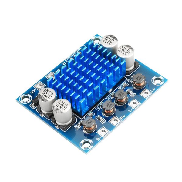 Scheda amplificatore TPA3110, modulo amplificatore digitale mono da 30
